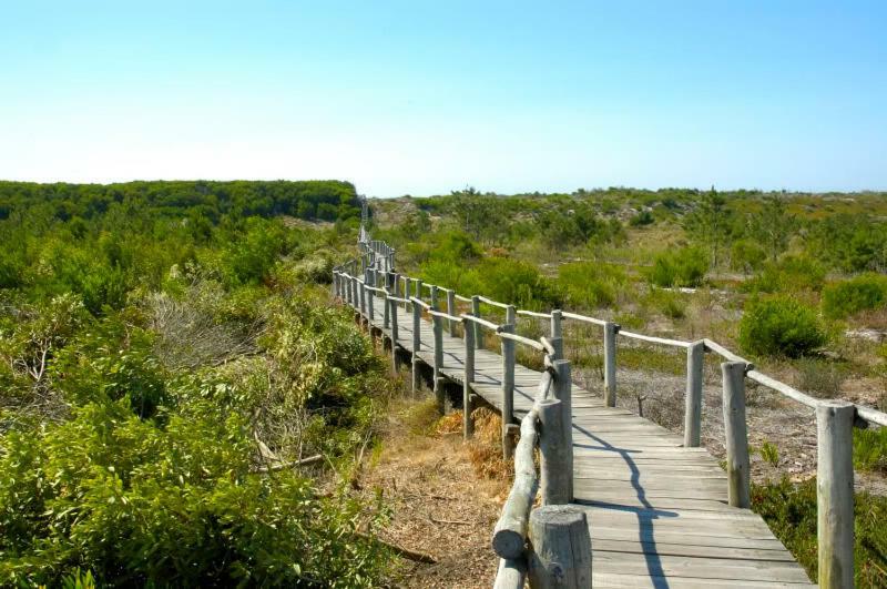 טוריירה Casa Dos Amigos - A Luxury Home In The Nature מראה חיצוני תמונה
